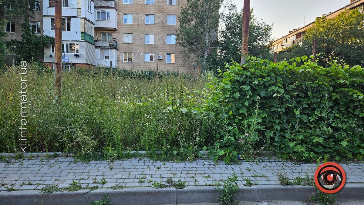 Тренування у преріях: футбольне поле у центральній частині Коломиї перетворилось на хащі 4