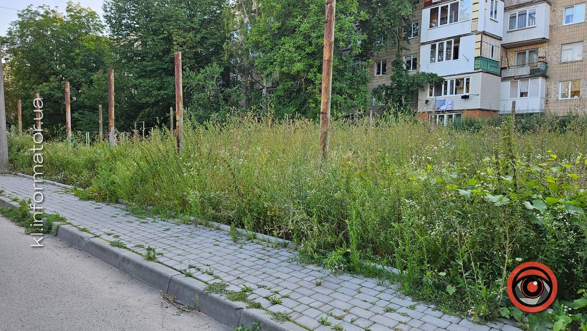 Тренування у преріях: футбольне поле у центральній частині Коломиї перетворилось на хащі 2