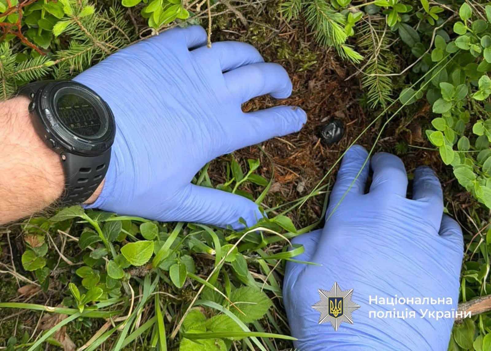 Отримувала наркотики поштою і робила «закладки» в лісі: на Надвірнянщині судитимуть 19-річну дівчину 2