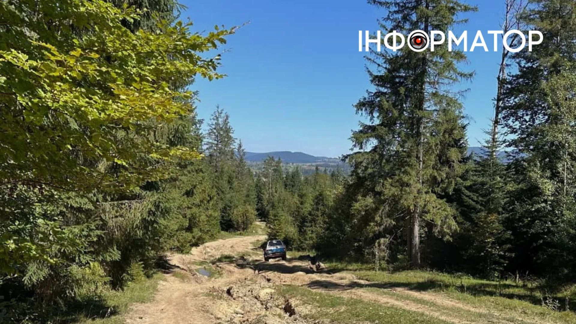 Як на Івано-Франківщині карають за незаконний джипінг у заповідниках?