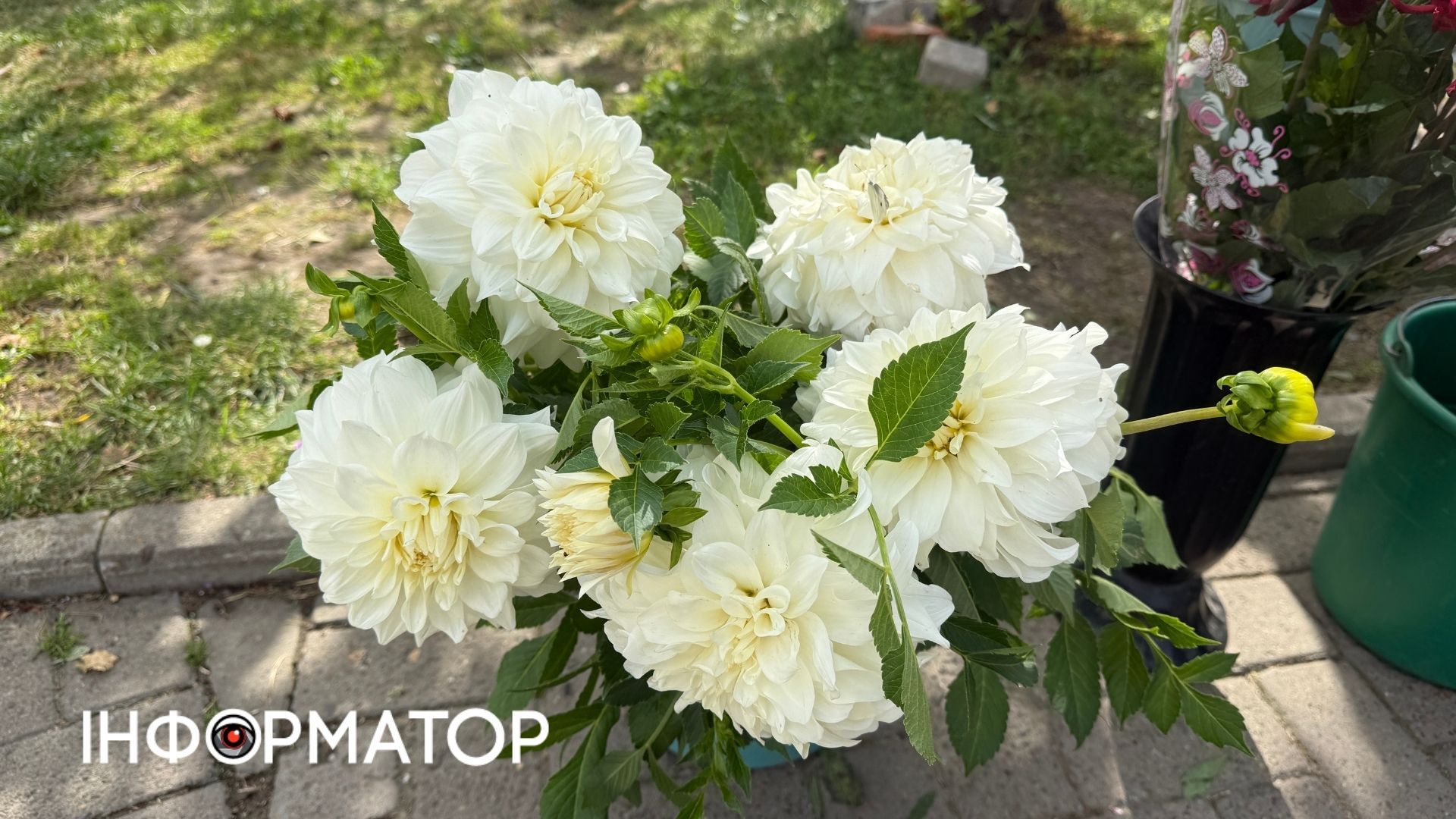 Скільки коштують квіти в Коломиї перед 1 вересня? 3