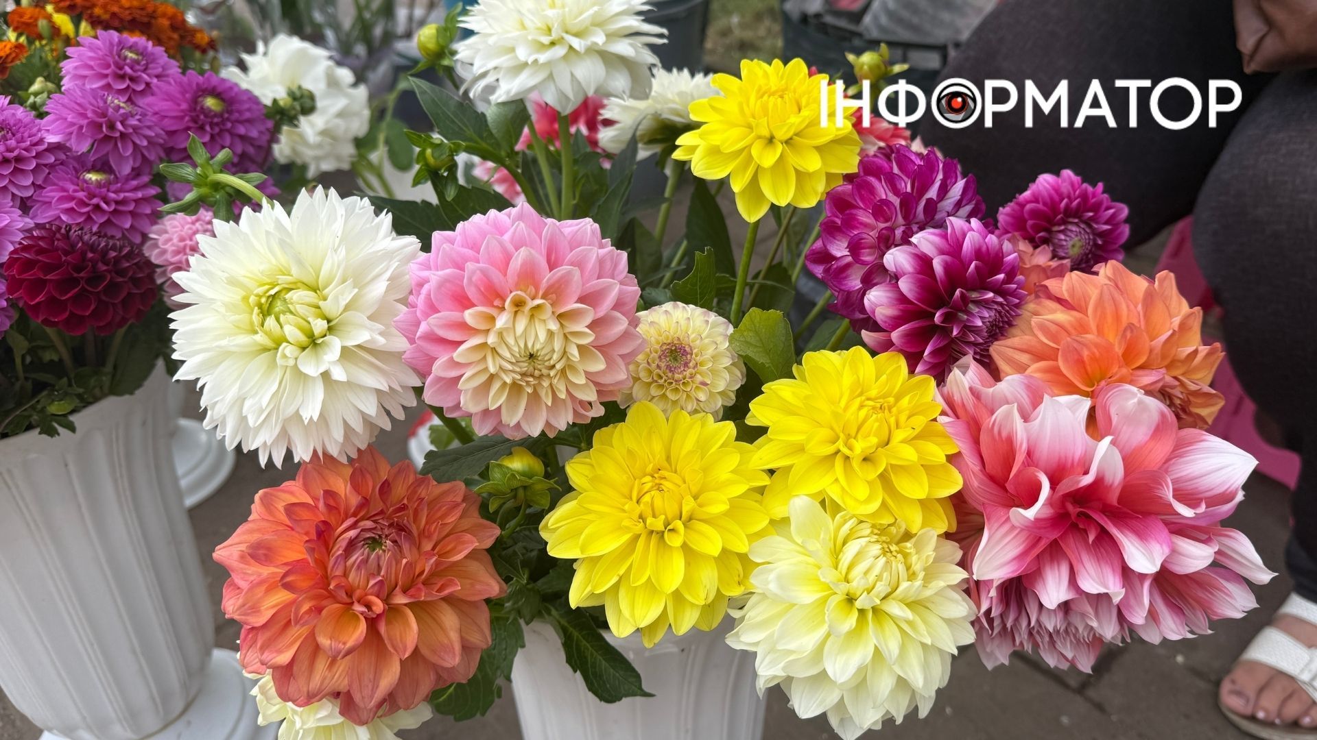 Скільки коштують квіти в Коломиї перед 1 вересня? 4