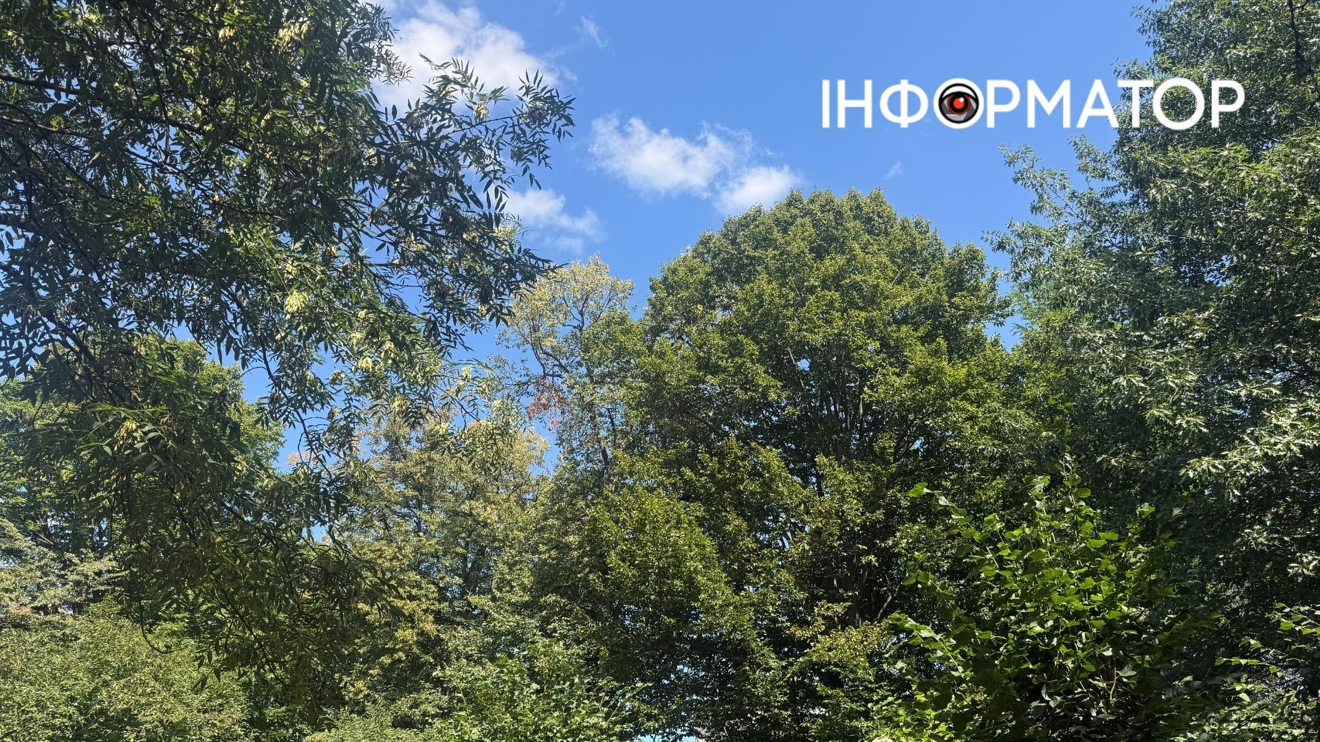 У передчутті осені: як Коломия поступово міняє зелені барви на золоті 5