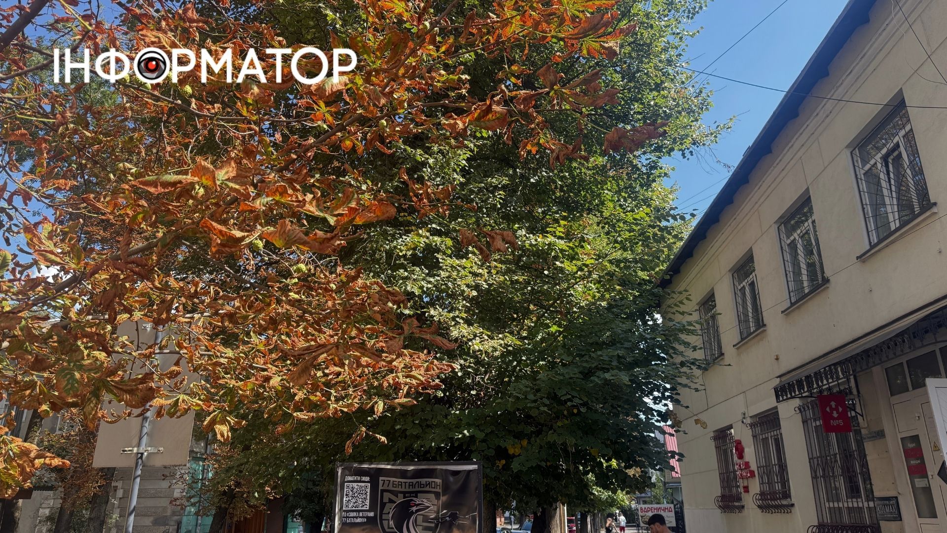 У передчутті осені: як Коломия поступово міняє зелені барви на золоті 10