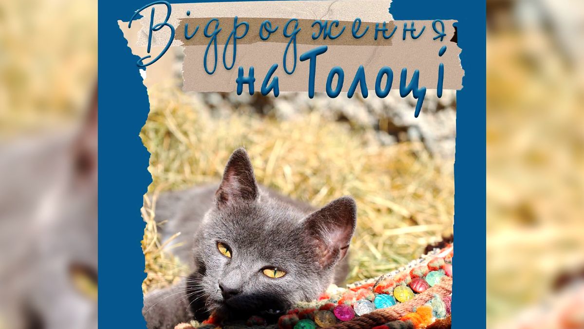 фестиваль у Корничі