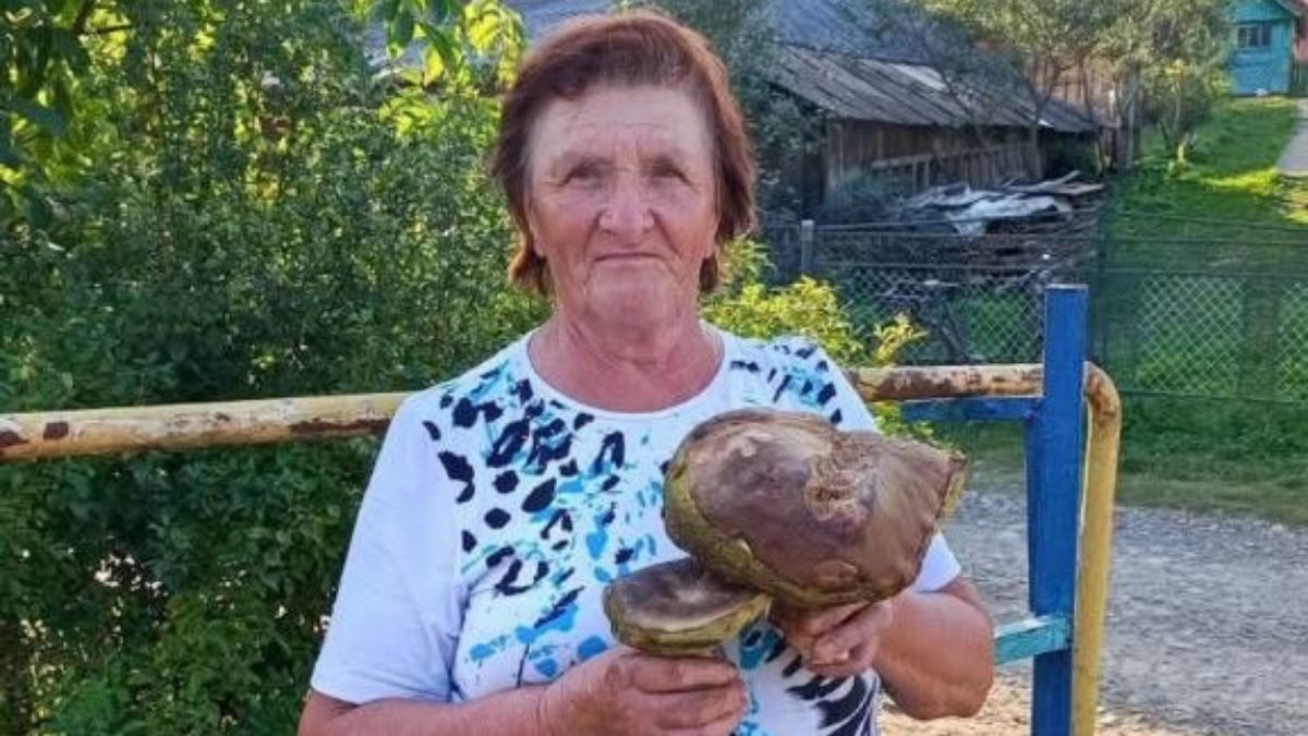 Попри тривалу посуху прикарпатці знаходять у лісах перші осінні гриби 2
