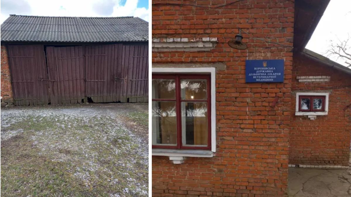 Будинок з конюшнею продається на Коломийщині з аукціону 1