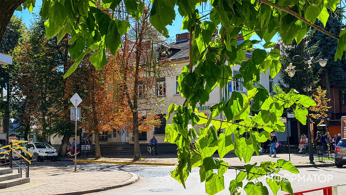 фоторепортаж Коломиї