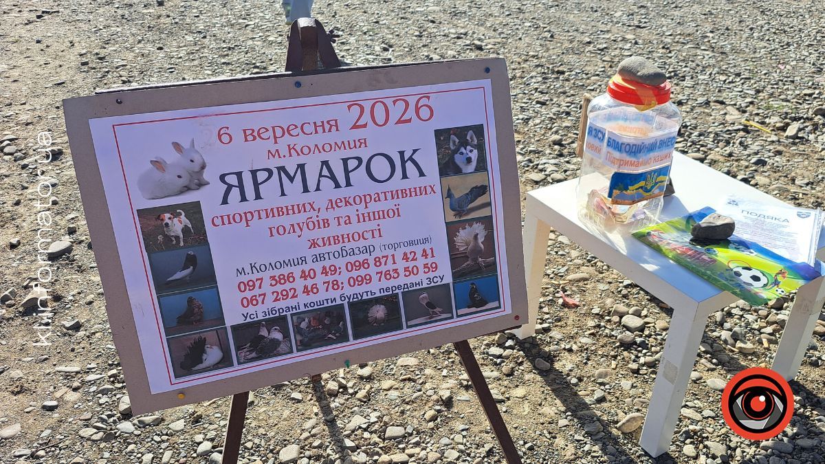 На Торговиці в Коломиї пройшов ярмарок голубів та інших тварин 3