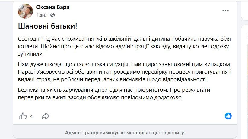 У школі на Прикарпатті діти під час обіду знайшли в котлеті павука: адміністрація закладу відреагувала 1