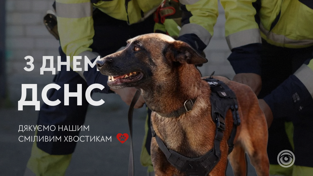 Привітання з Днем рятівника: добірка картинок від Інформатора 8