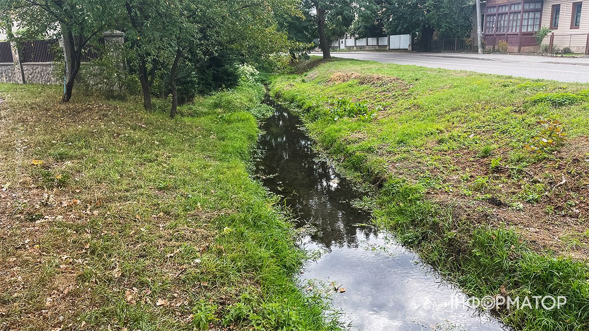 Водойми міліють на очах: який рівень води у річках та озерах Коломиї й ближніх сіл. ФОТО 11