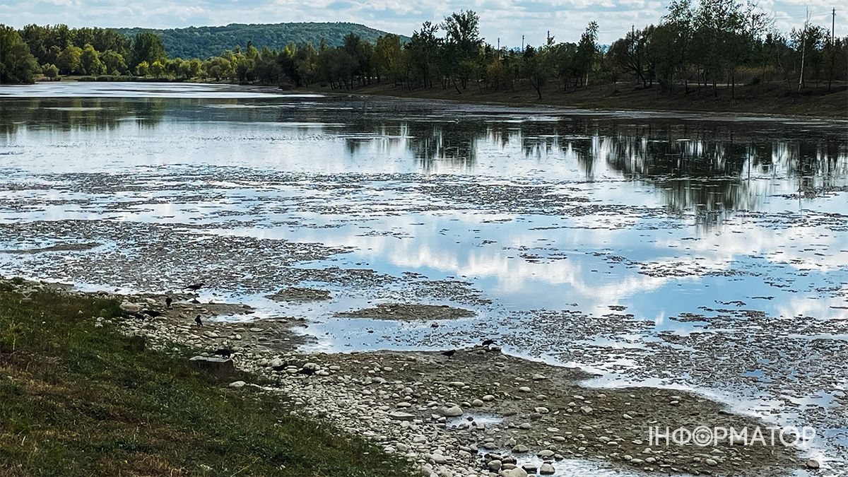 Водойми міліють на очах: який рівень води у річках та озерах Коломиї й ближніх сіл. ФОТО 9