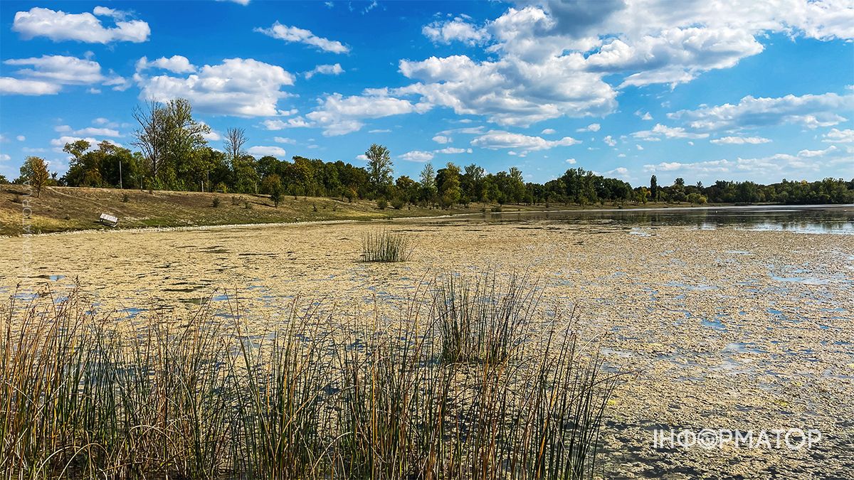 Водойми міліють на очах: який рівень води у річках та озерах Коломиї й ближніх сіл. ФОТО 7