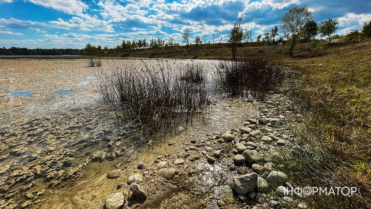 Водойми міліють на очах: який рівень води у річках та озерах Коломиї й ближніх сіл. ФОТО 6