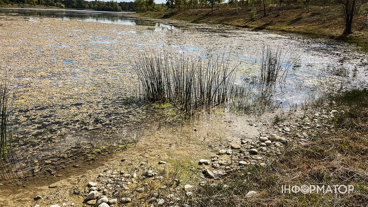 Водойми міліють на очах: який рівень води у річках та озерах Коломиї й ближніх сіл. ФОТО 5