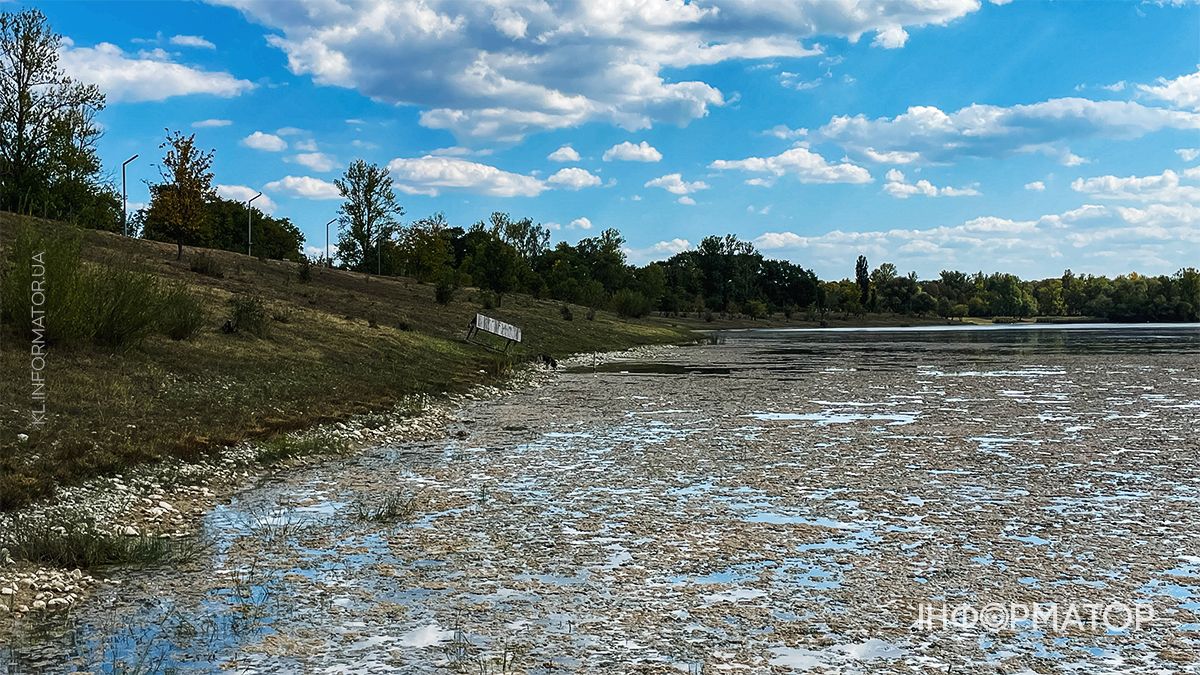 Водойми міліють на очах: який рівень води у річках та озерах Коломиї й ближніх сіл. ФОТО 4