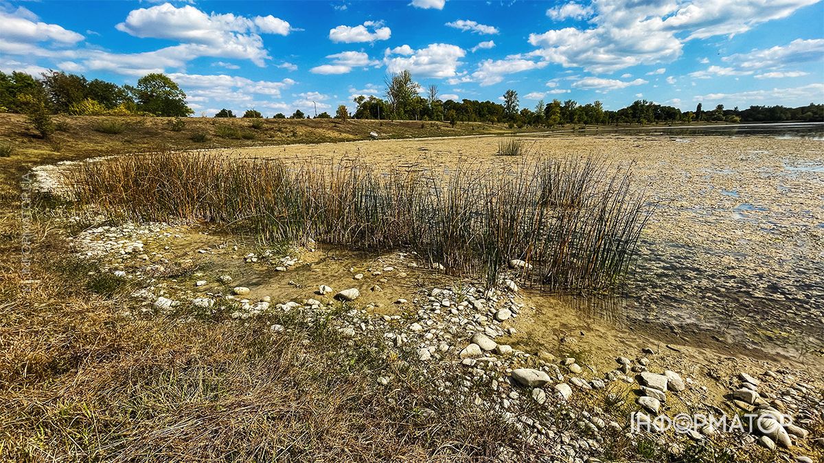 Водойми міліють на очах: який рівень води у річках та озерах Коломиї й ближніх сіл. ФОТО 14
