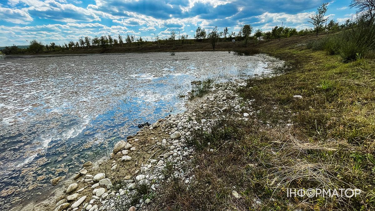 Водойми міліють на очах: який рівень води у річках та озерах Коломиї й ближніх сіл. ФОТО 15