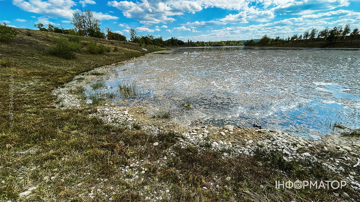 Водойми міліють на очах: який рівень води у річках та озерах Коломиї й ближніх сіл. ФОТО 3