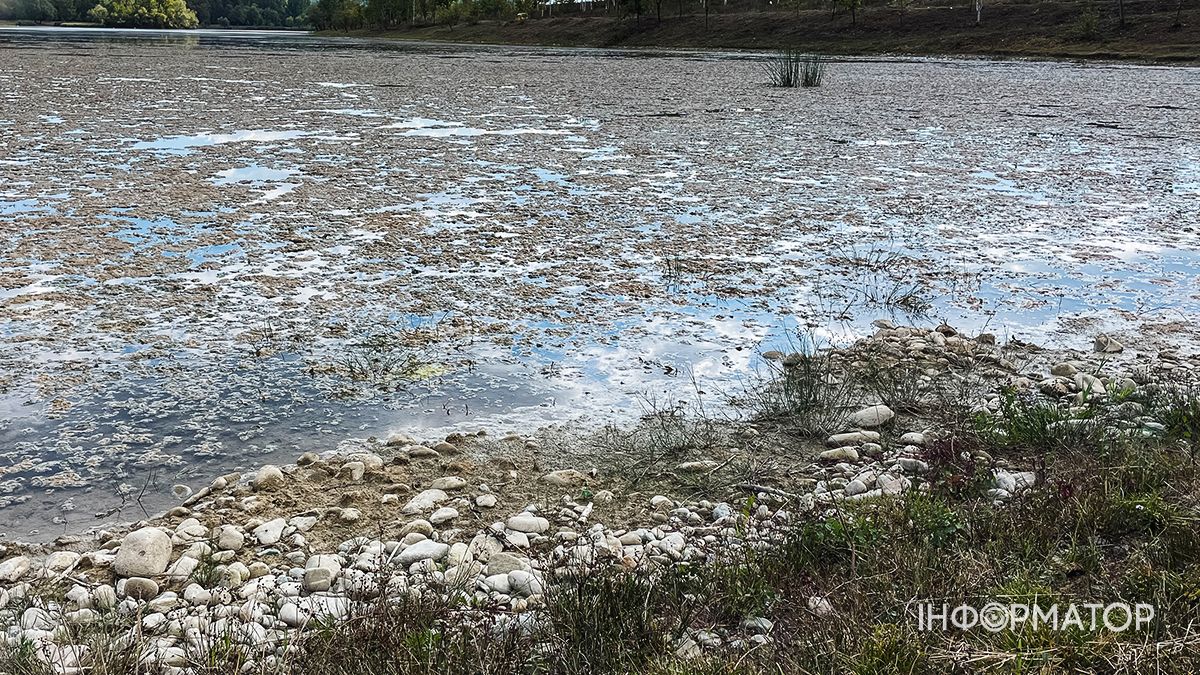Водойми міліють на очах: який рівень води у річках та озерах Коломиї й ближніх сіл. ФОТО 2
