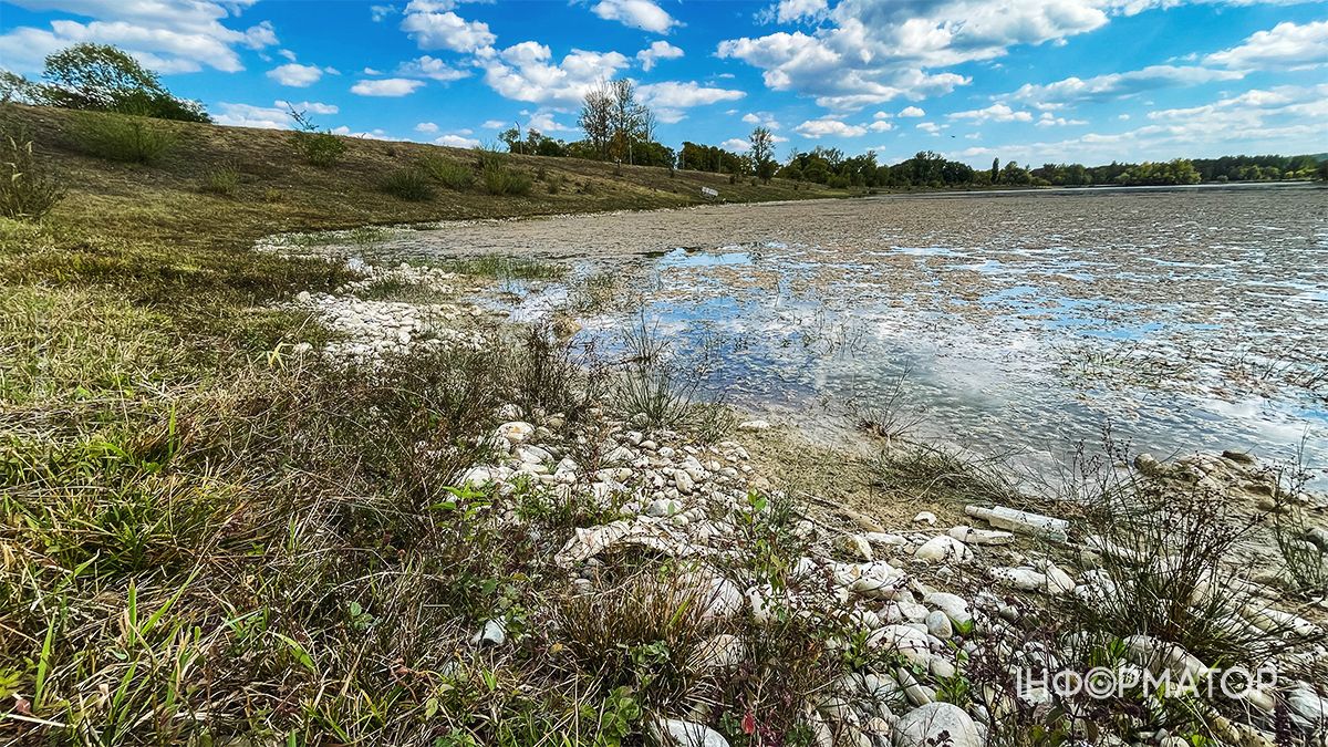 Водойми міліють на очах: який рівень води у річках та озерах Коломиї й ближніх сіл. ФОТО 1