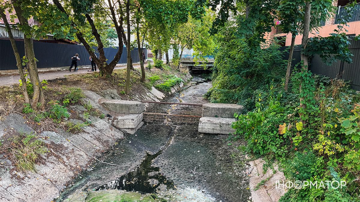 Водойми міліють на очах: який рівень води у річках та озерах Коломиї й ближніх сіл. ФОТО 3