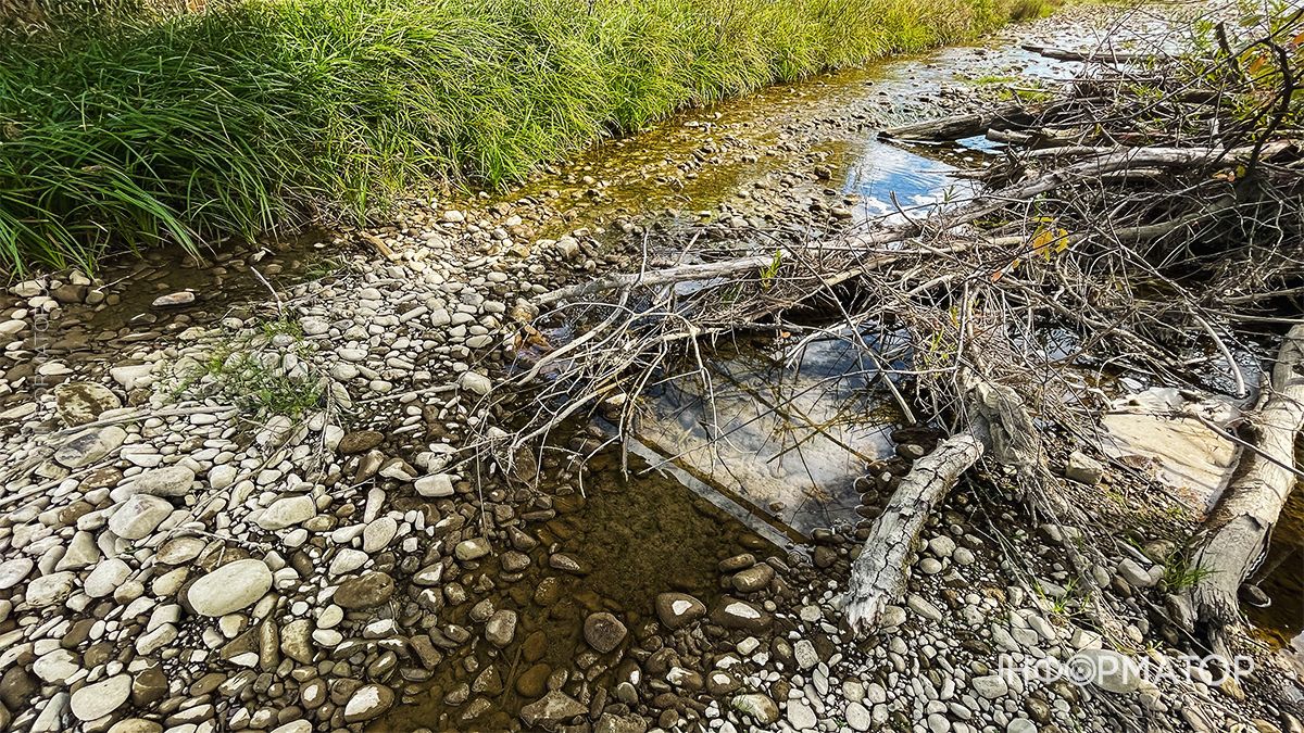 Водойми міліють на очах: який рівень води у річках та озерах Коломиї й ближніх сіл. ФОТО 5