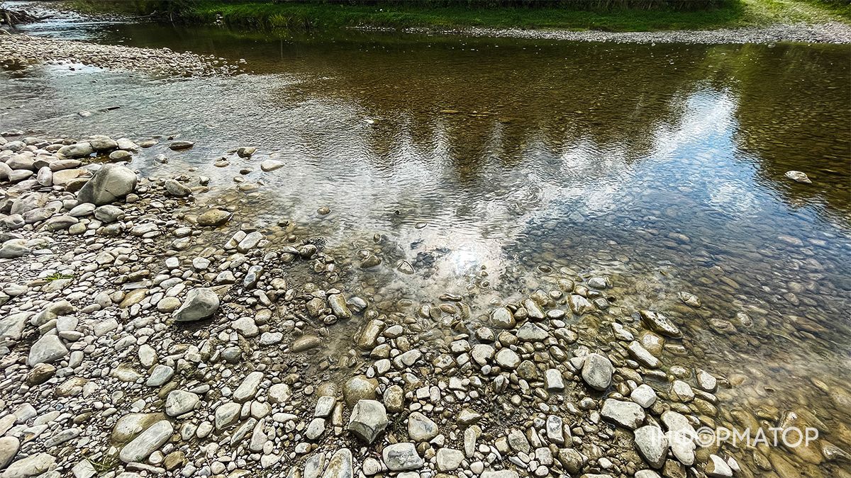 Водойми міліють на очах: який рівень води у річках та озерах Коломиї й ближніх сіл. ФОТО 7