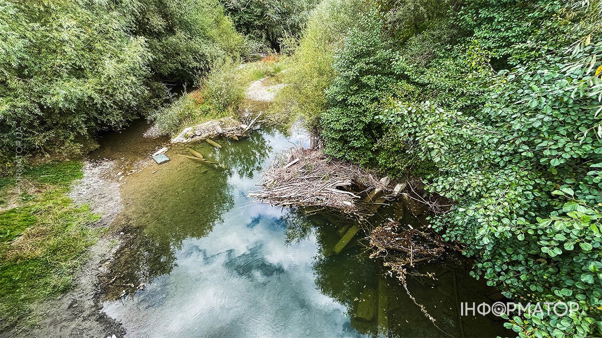 Водойми міліють на очах: який рівень води у річках та озерах Коломиї й ближніх сіл. ФОТО 16