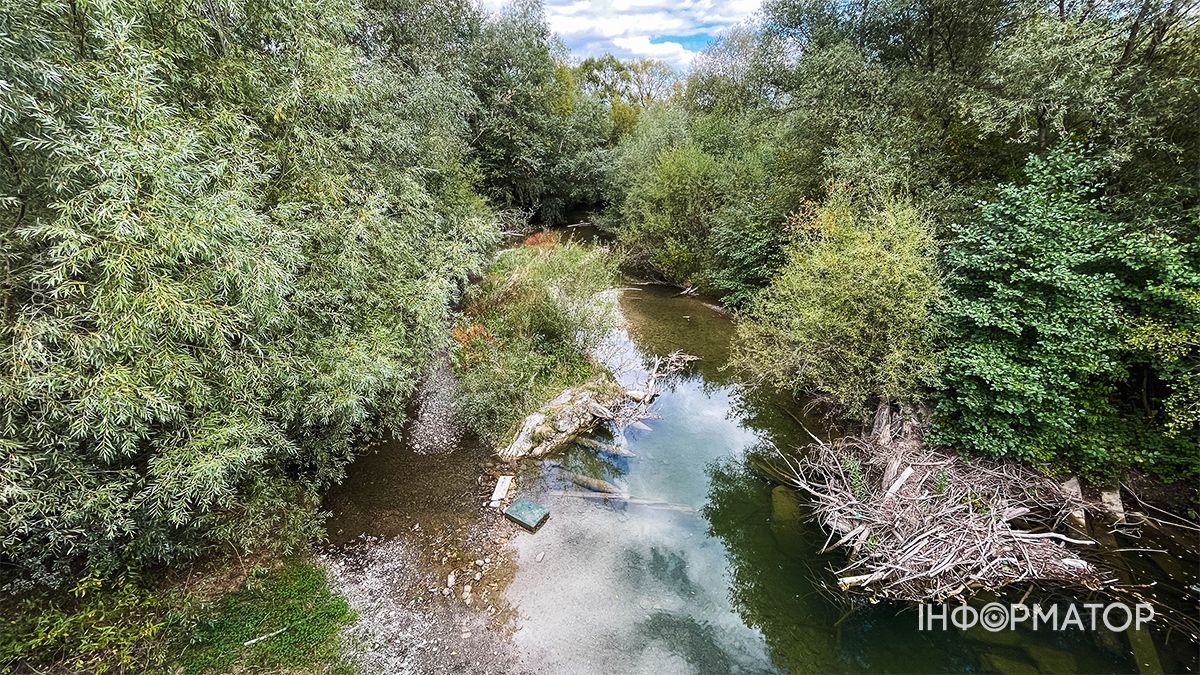 Водойми міліють на очах: який рівень води у річках та озерах Коломиї й ближніх сіл. ФОТО 17