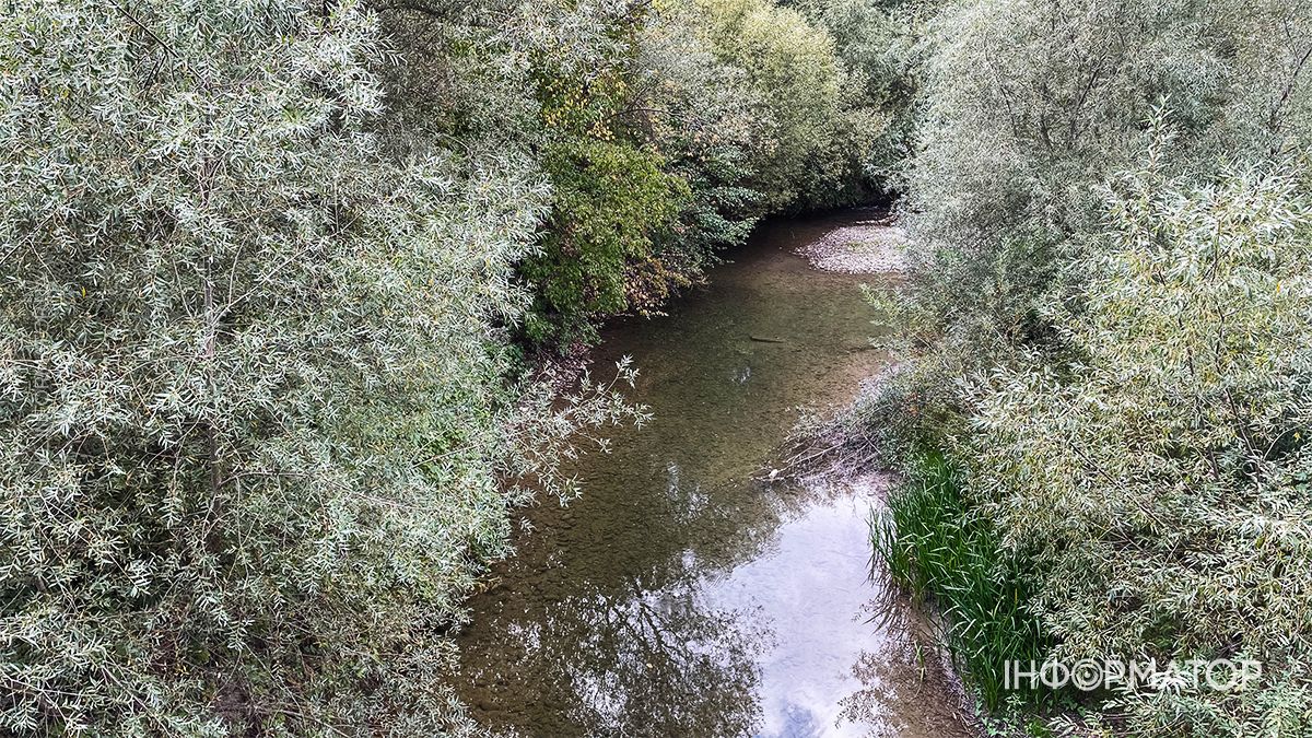 Водойми міліють на очах: який рівень води у річках та озерах Коломиї й ближніх сіл. ФОТО 18