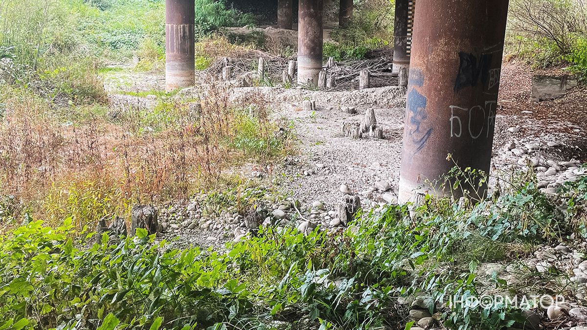 Водойми міліють на очах: який рівень води у річках та озерах Коломиї й ближніх сіл. ФОТО 5