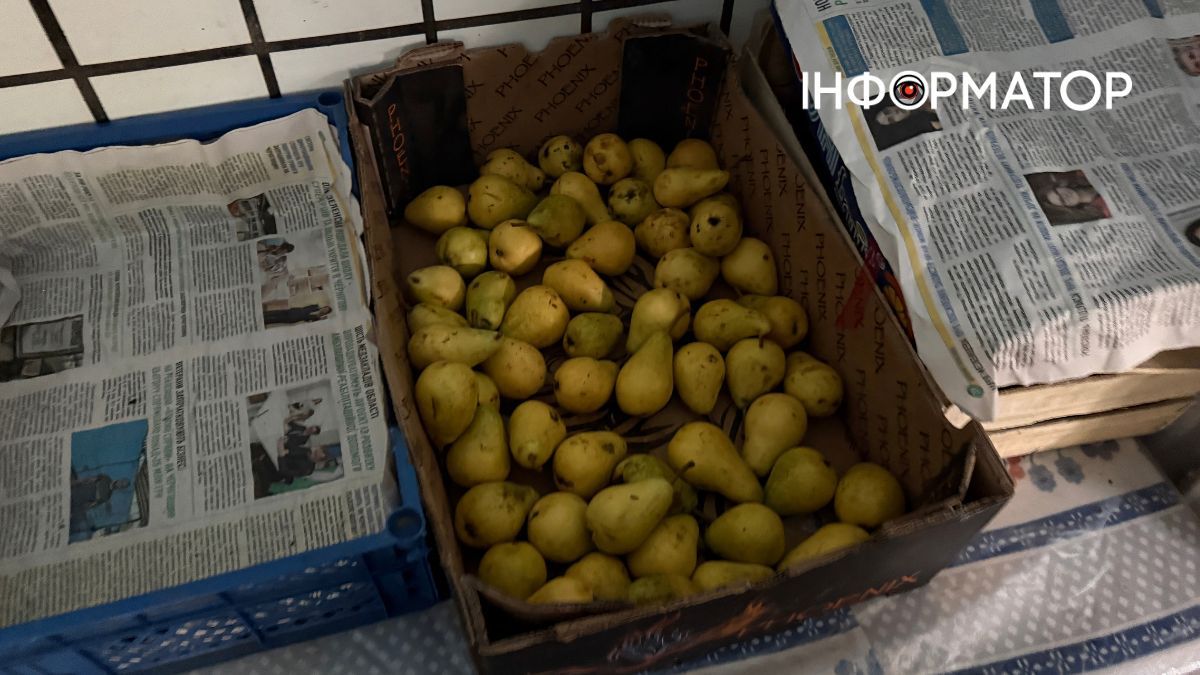 Фрукти, якими харчують учнів Коломийської гімназії