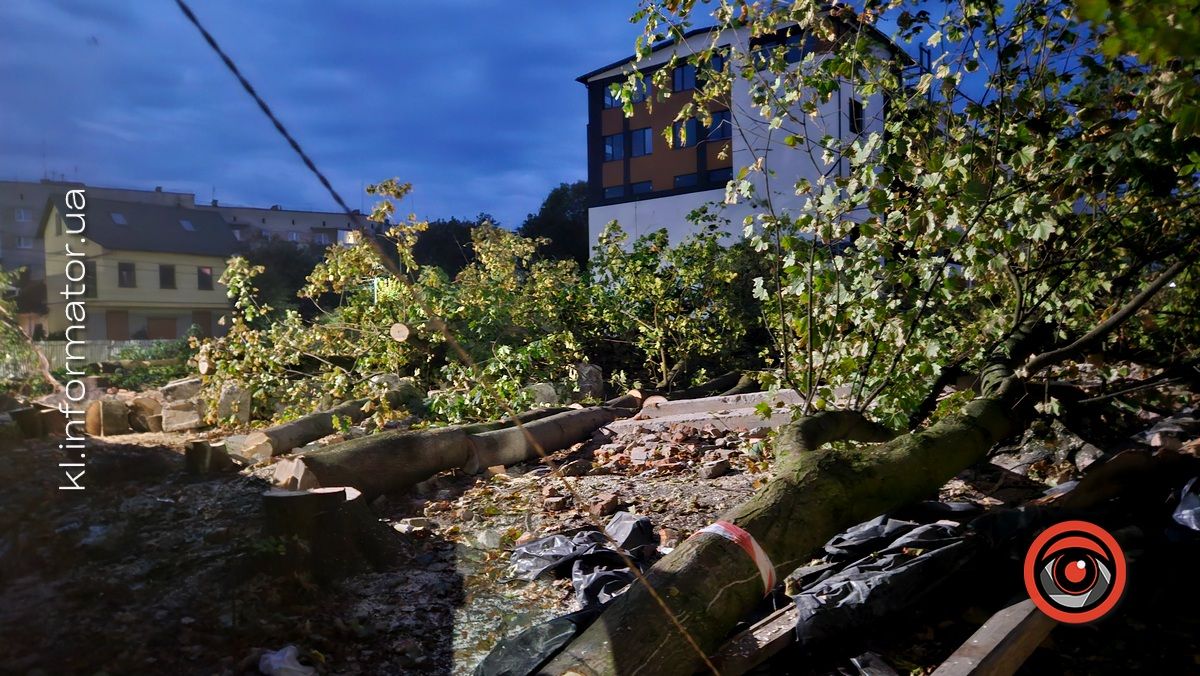 Не дочекалися дозволу: біля ТЦ «Прут» у Коломиї зрізали дерева заради забудови 1