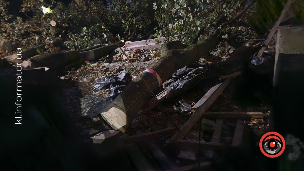 Не дочекалися дозволу: біля ТЦ «Прут» у Коломиї зрізали дерева заради забудови 4