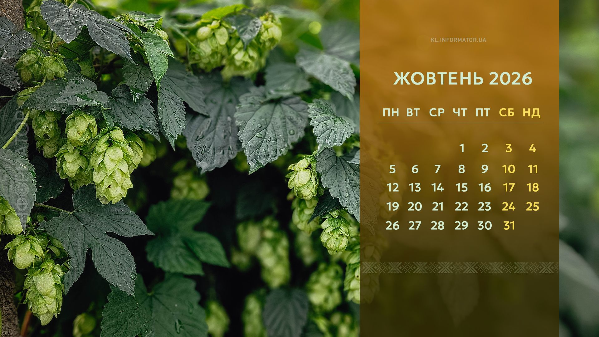 Чарівні пейзажі: календар на робочий стіл від Інформатора | Жовтень 2026 4