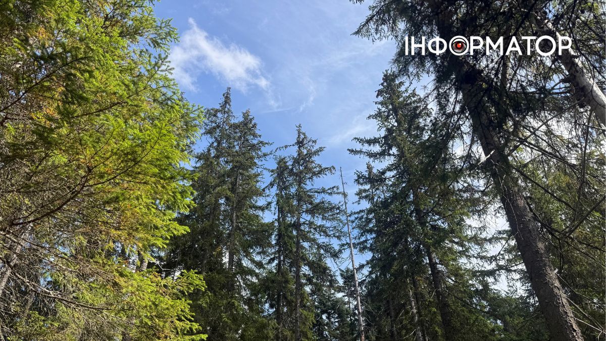 Сонце пече, річка тече: фоторепортаж з Карпат, де ще затрималось літо 6