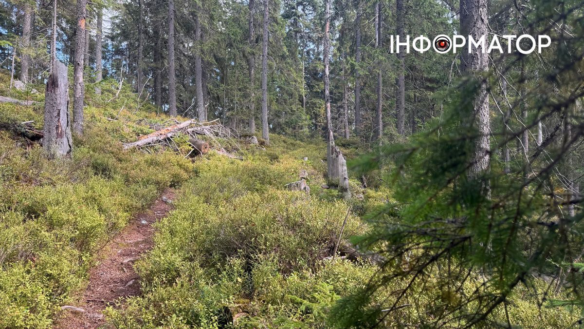 Сонце пече, річка тече: фоторепортаж з Карпат, де ще затрималось літо 5