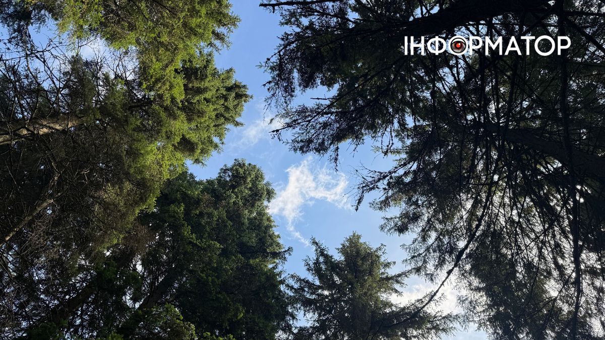 Сонце пече, річка тече: фоторепортаж з Карпат, де ще затрималось літо 7