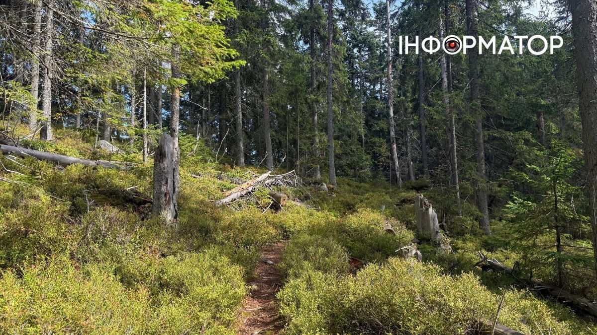Сонце пече, річка тече: фоторепортаж з Карпат, де ще затрималось літо 8