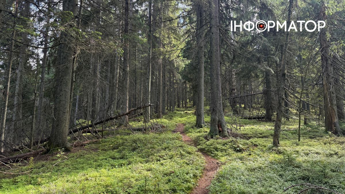 Сонце пече, річка тече: фоторепортаж з Карпат, де ще затрималось літо 10