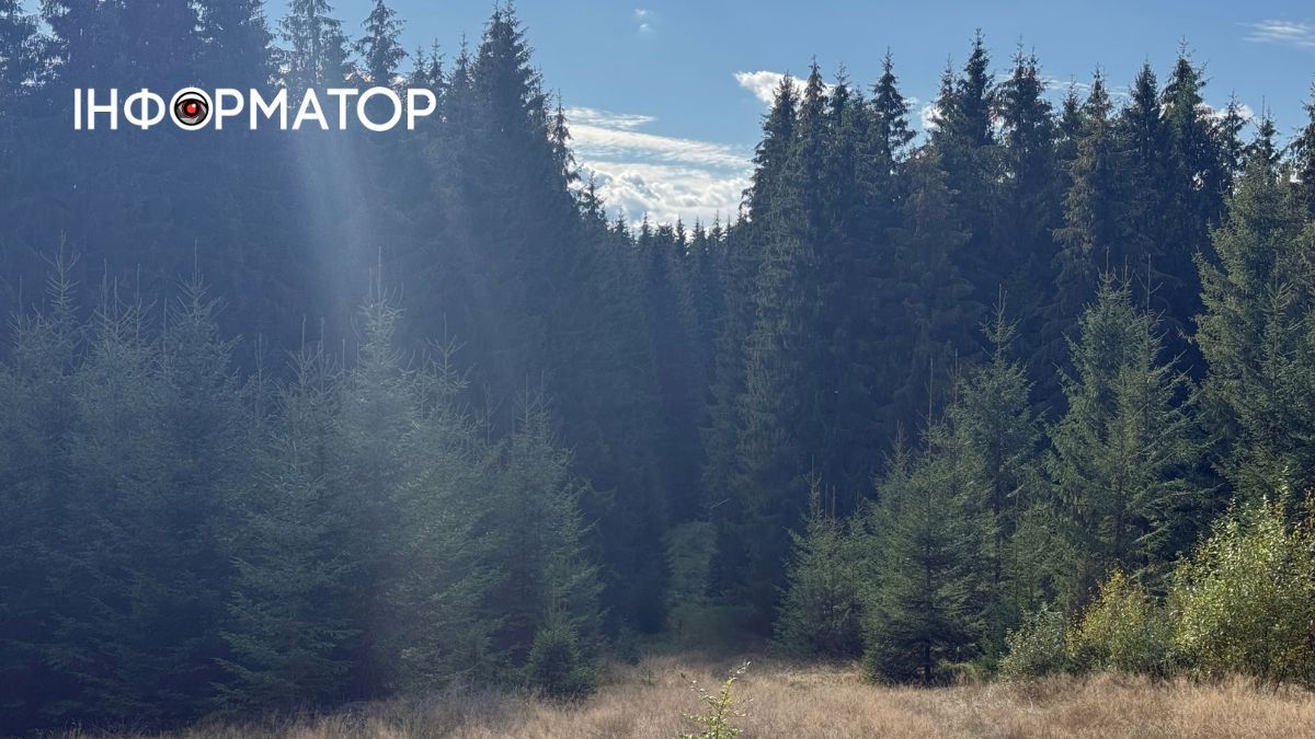Сонце пече, річка тече: фоторепортаж з Карпат, де ще затрималось літо 12