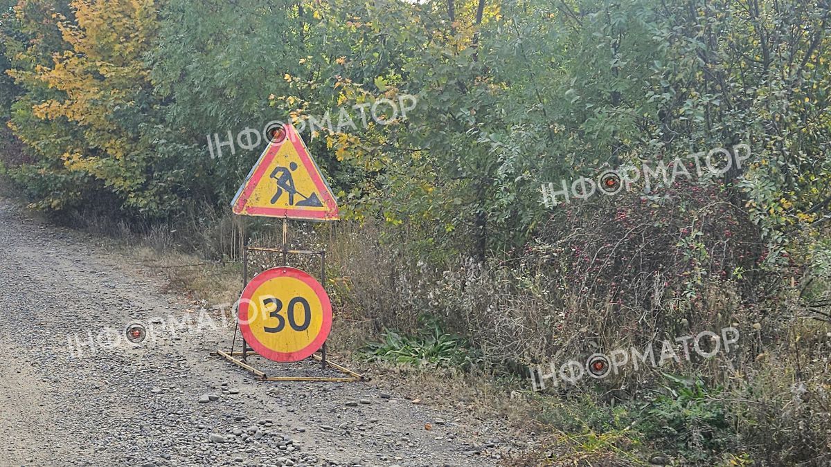 У Заболотові скасували протест: підрядники взялися ремонтувати дорогу 2