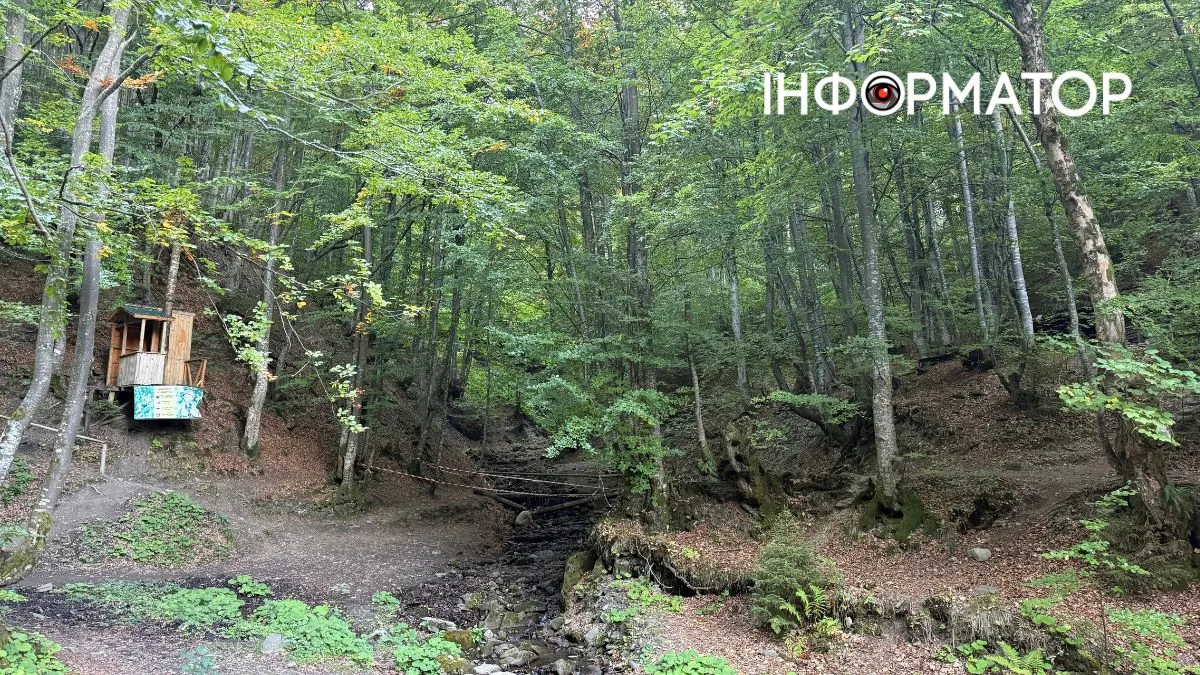 Космічна Боржава: як виглядають Карпати у міжсезоння | Фоторепортаж 12