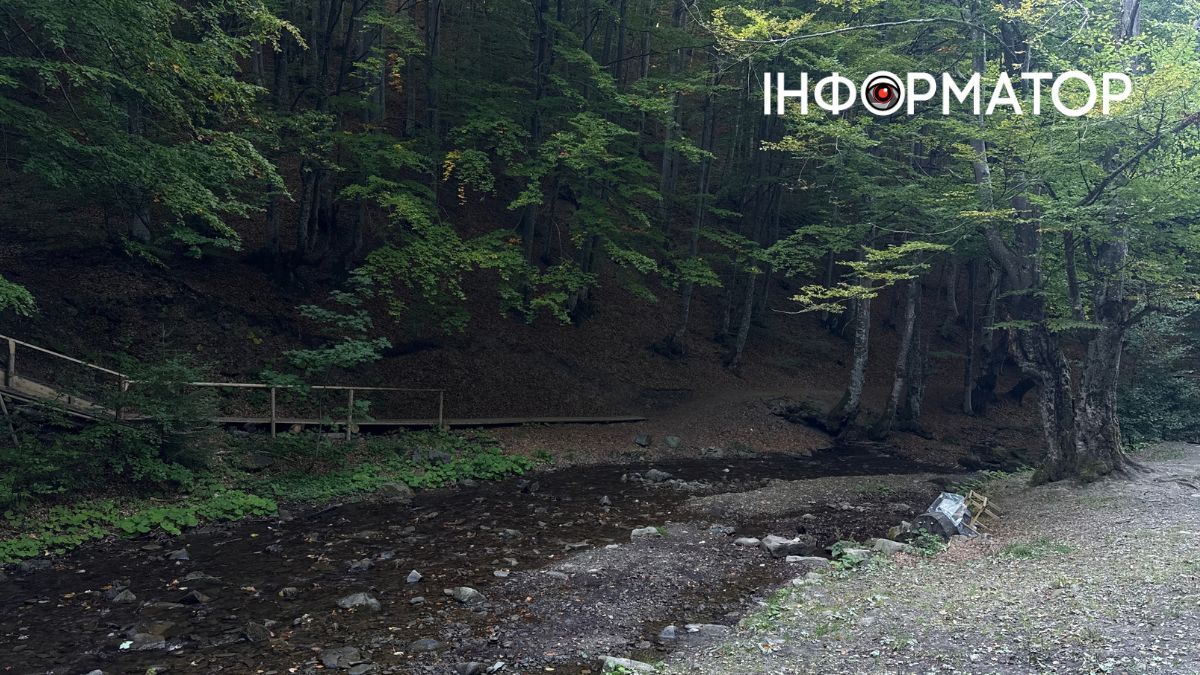 Космічна Боржава: як виглядають Карпати у міжсезоння | Фоторепортаж 11