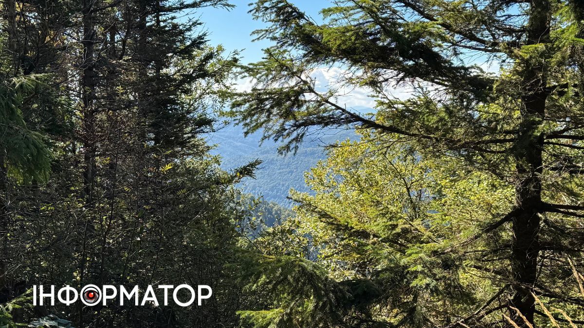 Космічна Боржава: як виглядають Карпати у міжсезоння | Фоторепортаж 13