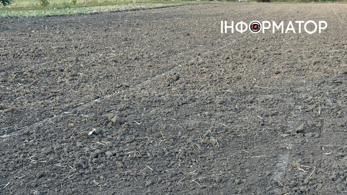 Чи потрібно перекопувати город на зиму та як зробити це правильно?