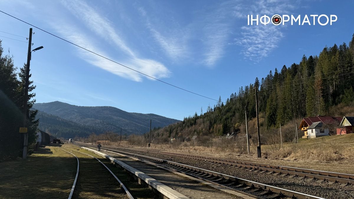 Жінка заявила до поліції про жорстоке поводження з конем у Микуличині