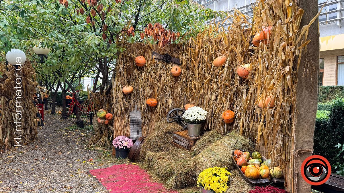 Золоте листя та міські пейзажі: недільний фоторепортаж із Коломиї 17